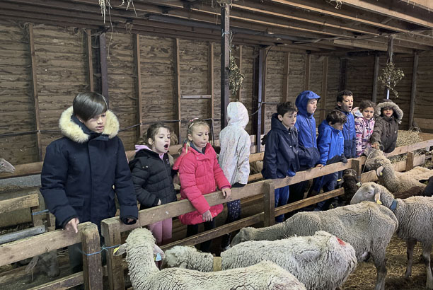 Vacances pour tous - colonies de vacances  - La Mongie-Barèges - Les petits bergers pyrénéens