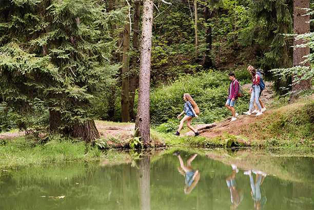 Vacances-passion - Les Jonquilles - Xonrupt-Longemer - Vosges