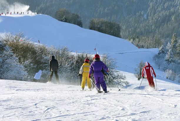 Vacances-passion - Les Jonquilles - Xonrupt-Longemer - Vosges