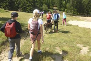 Vacances pour tous - colonies de vacances  - Le Bessat - Cani Trappeur