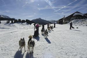 Vacances pour tous - colonies de vacances  - Les Carroz-d'Arâches - Neig'Alpes - Grand Nord au Grand Massif